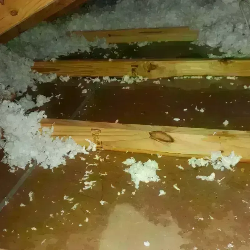 Attic Water Damage in Cass County, IN